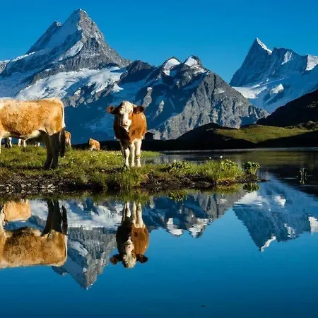 Superior 100m2 Bodmisonne - Apartman Grindelwald