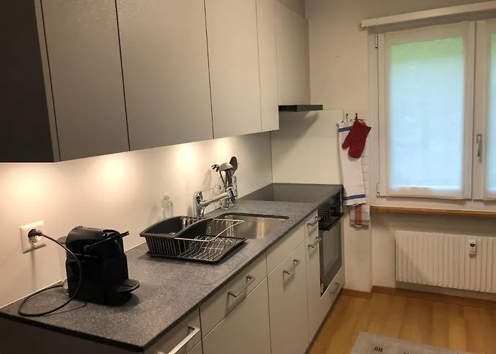 Superior 100m2 Bodmisonne - * Grindelwald