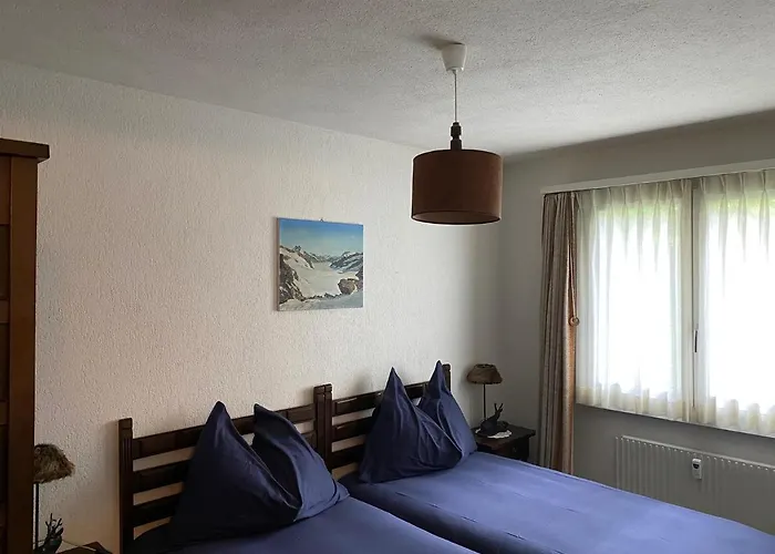 Superior 100m2 Bodmisonne - * 格林德瓦