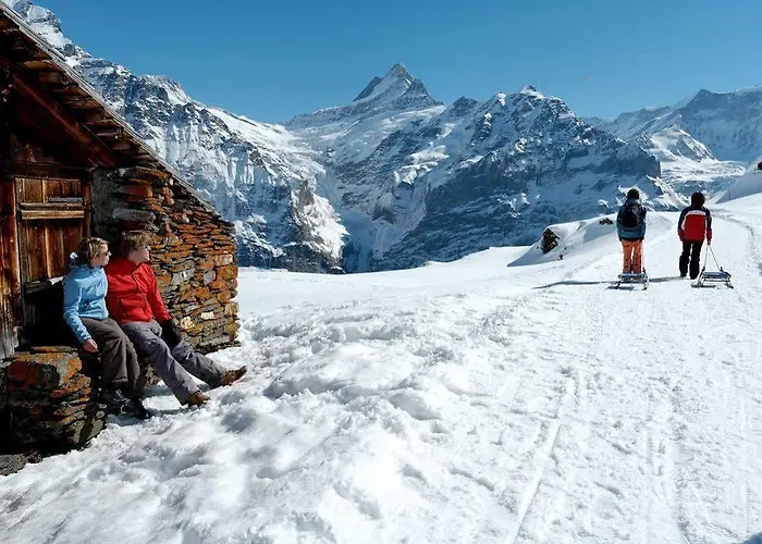 Superior 100m2 Bodmisonne - *