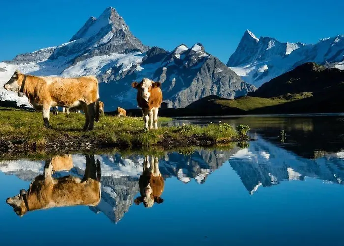 Superior 100m2 Bodmisonne - Apartament Grindelwald