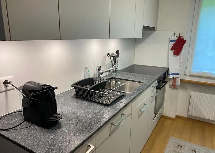 Superior 100m2 Bodmisonne - דירה