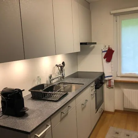 Superior 100m2 Bodmisonne - * Grindelwald