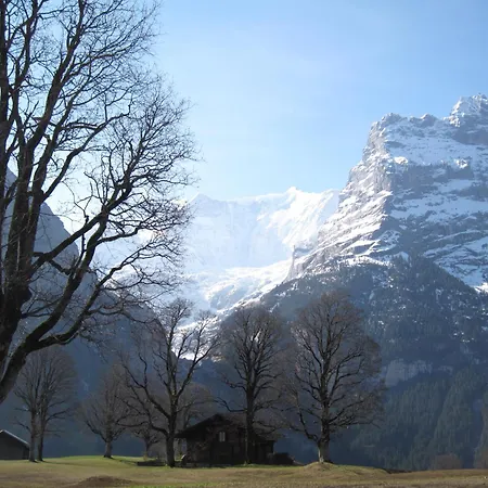 Superior 100m2 Bodmisonne -